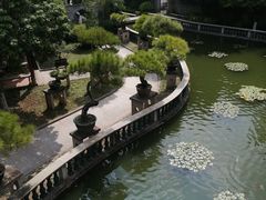 -碧江金楼