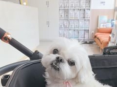 -申普宠物医院·眼科·心内科·影像科(普陀分院)