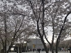 -龙美术馆(西岸馆)