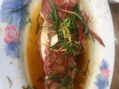 -长平肥姐白粥·海鲜打冷