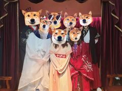 -叁拾壹丨浮世绘x壹拾叁沉浸演绎剧场