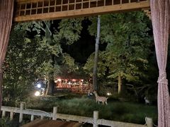 -黄山温泉国际旅游度假区