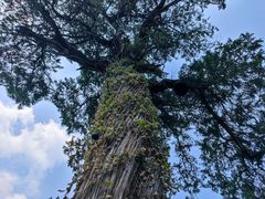 -北京上方山国家森林公园