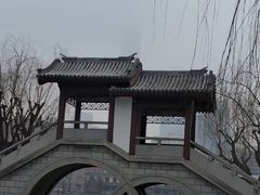 -团结湖公园