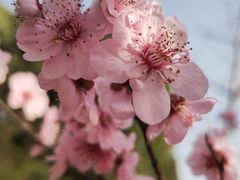 -江南大学(蠡湖校区)