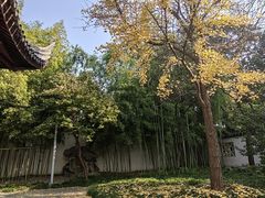 -北寺塔