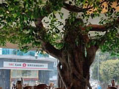-今一靓汤.顺德菜东莞三十年老字号(厚街店)
