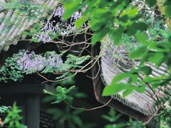 -龙潭水乡