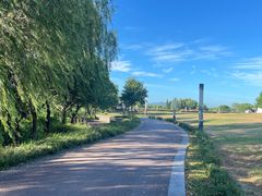 -苏州太湖国际会议中心