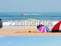 -碧海金沙