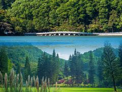 -深圳仙湖植物园
