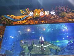 -太奥幻太奇海洋馆