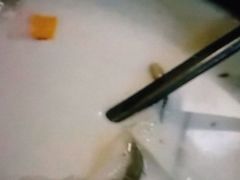 -志龙皇冠吃货椰子铺