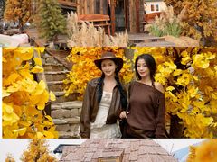 -Blue Concept Cafe&Farm·關於藍