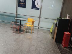 -麦当劳(北京大兴机场二层国内到达(安检外)店)