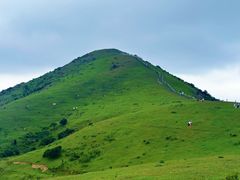 -大姆山草场