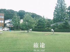 -金泽21世纪美术馆