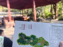 -西双版纳原始森林公园