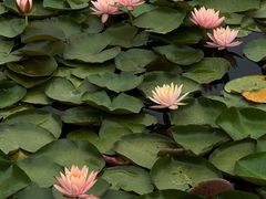 -白鹭湾湿地公园