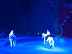 -珠海横琴长隆《卡卡虎奇遇记》