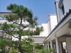 -东方艺术博物馆