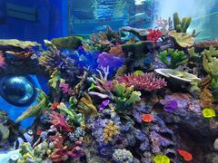 -成都浩海立方海洋公园