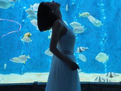 -合肥海洋世界