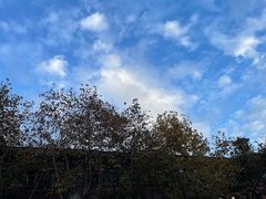 -魅KTV·AI辅唱(人民广场旗舰店)