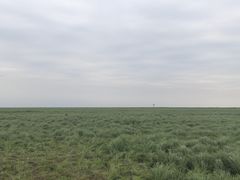 -鄱阳湖国家湿地公园