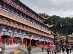 -东莞市大岭山森林公园