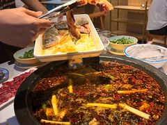 -费明中罗非鱼(大石坝店)