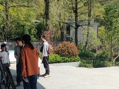-东明山森林公园