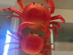 -长兴开元名都大酒店·地中海咖啡厅