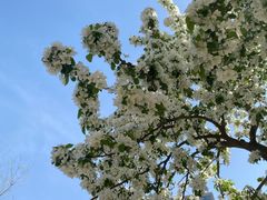 -远洋未来广场(育慧北路店)