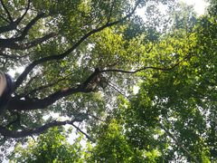 -宜兴龙背山森林公园