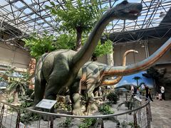 -国家自然博物馆