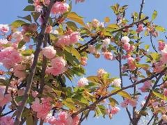 -观澜湖生态运动公社