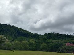 -火炉山森林公园
