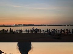 -瑶湖郊野森林公园
