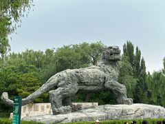 -北京凤凰岭