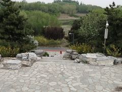 -大兴滨河森林公园