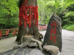 -凤凰山国家森林公园