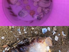 -辽宁团山国家级海洋公园