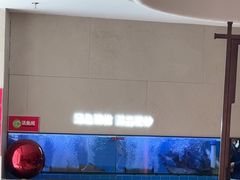 -老板恋上鱼(恒隆广场店)