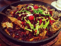 -老板恋上鱼(恒隆广场店)