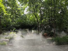 -成都市活水公园