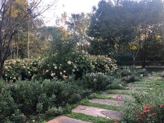 -黑龙江省森林植物园