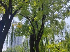 -迎泽公园
