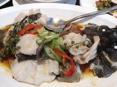 青花椒蒸龙胆鱼-闽和南(深圳万象城店)