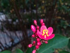 -华南国家植物园-售票处